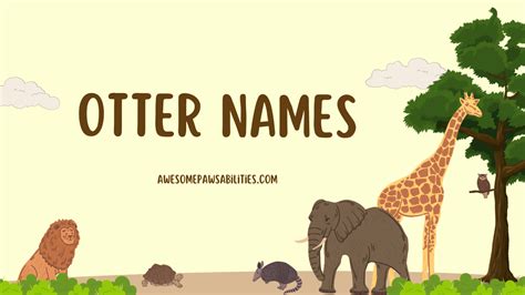 119+ Otter Names | Cute, Male, Female, Baby, And Funny Ideas