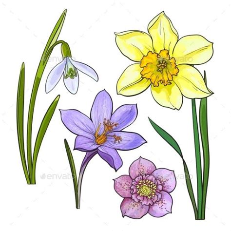 Set of Summer Flowers - Flowers & Plants Nature Easy Flower Drawings, Flower Drawing Tutorials ...