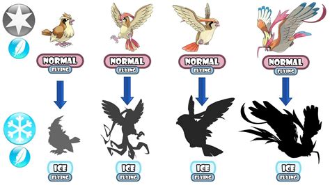 ICE TYPE - Pidgey Evolve to Mega Pidgeot. - YouTube