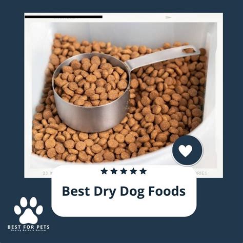 Best Dry Dog Food 2024 Usa - Maddi Roseann