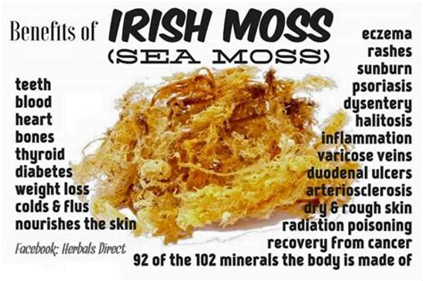 Grenada Sea Moss Recipe