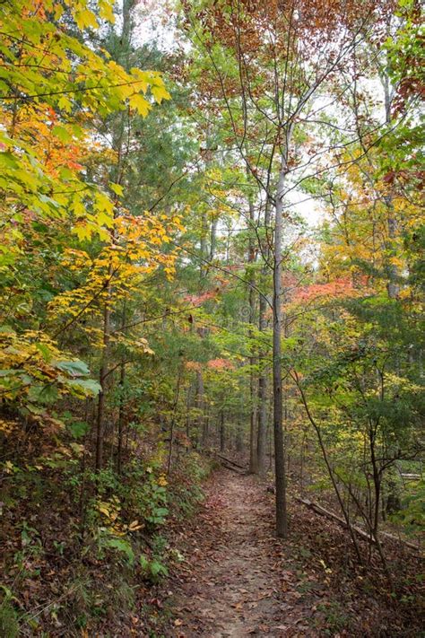 Autumn Hiking Trail stock photo. Image of outdoors, trail - 61783230