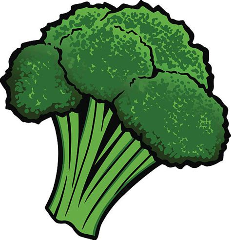 broccoli clip art 20 free Cliparts | Download images on Clipground 2024