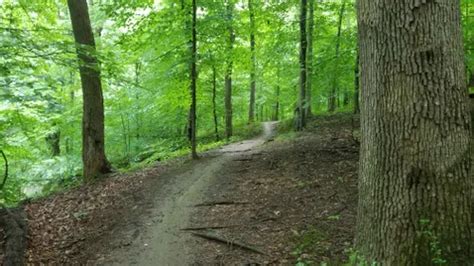 10 Best Hikes and Trails in Patapsco Valley State Park | AllTrails