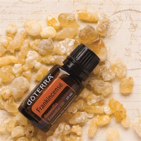 dōTERRA Frankincense Essential Oil - 15ml – Do Essential Oils | dōTERRA Wellness Advocate