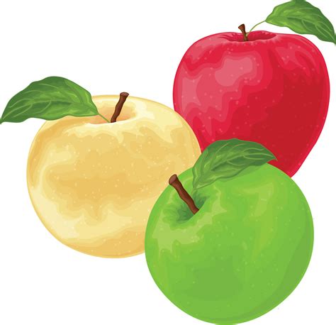 Apples. An image of apples of different colors. Red green and yellow ...