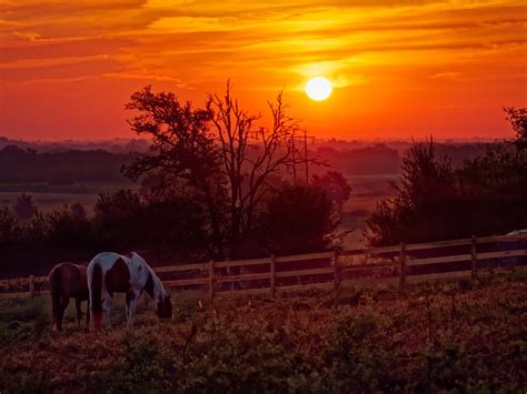 Sunrise/Sunset Rides - Maverick Horseback Riding