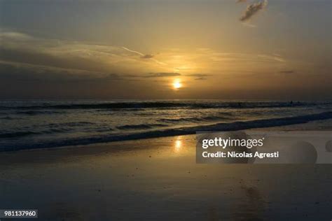 367 Sarasota Sunset Stock Photos, High-Res Pictures, and Images - Getty ...