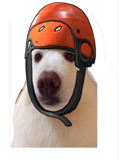 Rust Kayak Dog : r/playrust