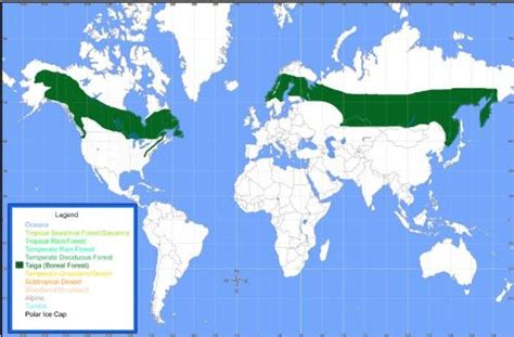 The Boreal Forest Biome | Biomes, Temperate deciduous forest, Ecosystems