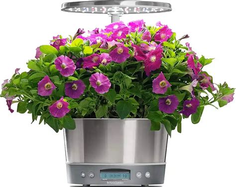 The Benefits of Growing AeroGarden Flowers - DIYHouseSkills