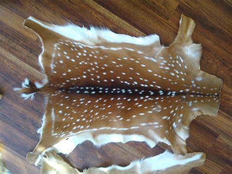 Deer Hide Rug for sale | Only 2 left at -65%