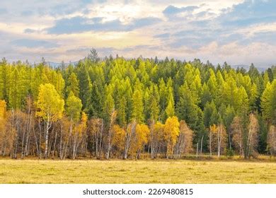 3,074 Fall Colors Montana Images, Stock Photos & Vectors | Shutterstock