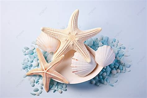 Bright Starfish In A Bowl Of Shells And Pebbles Background, Season, High Resolution, Luck ...