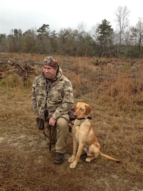 Pheasant hunt dog Purely Southern | Dogs, Labrador retriever, Pheasant hunting