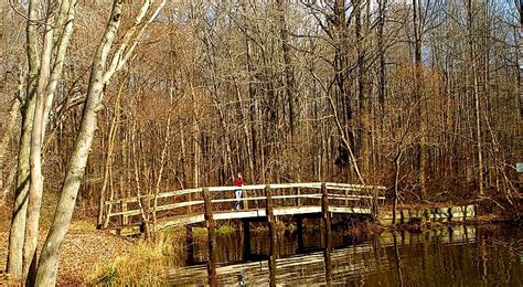 4 Best Delaware State Parks To Go Camping - WorldAtlas