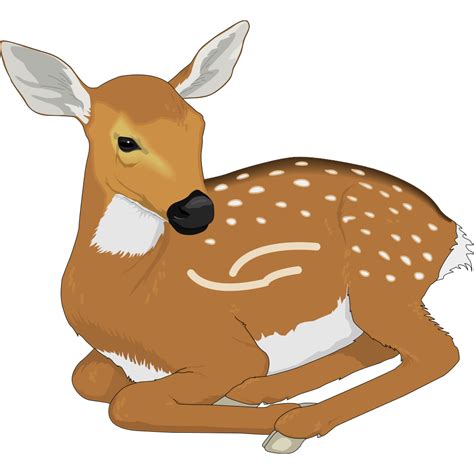 Resting Baby Deer PNG, SVG Clip art for Web - Download Clip Art, PNG Icon Arts