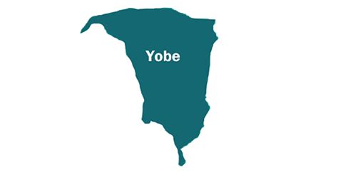 Flooding: Yobe urges downstream communities to relocate - Punch Newspapers