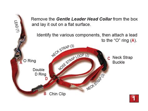 Fitting Instructions | Gentle Leader® Canada