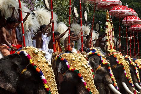 Kerala Temple and Elephant Festivals: Essential Guide