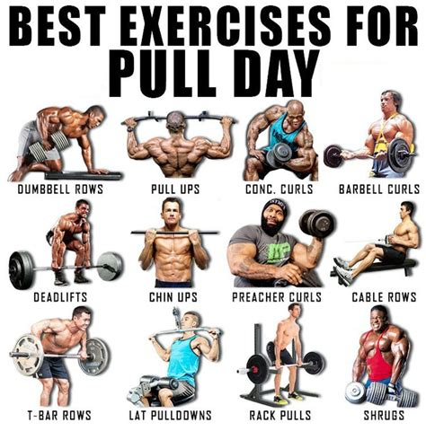 Pull Day Exercises | Push workout, Pull day workout, Push pull workout