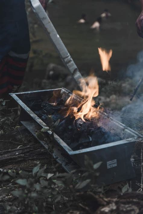 Brazier with burning fire in forest · Free Stock Photo