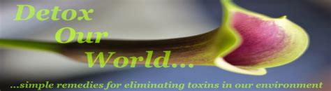 Detox Our World: Kill Dust Mites in Laundry with Eucalyptus Oil