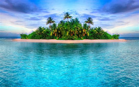 Tropical island, ocean, beach, palm trees, small island, HD wallpaper ...