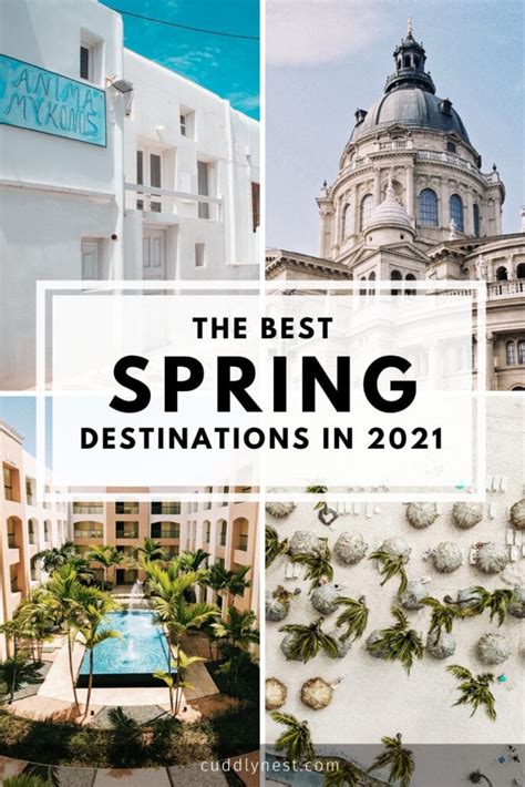 Top 5 Spring Break Destinations | CuddlyNest