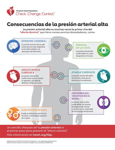 La presión arterial alta es un factor de riesgo de varios problemas de ...