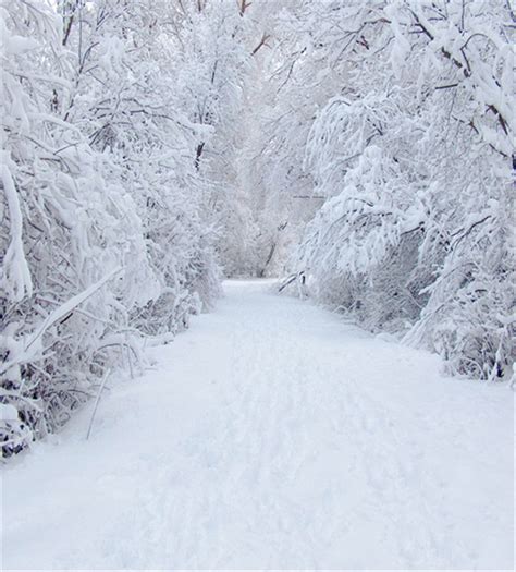 2019 8x10ft Winter Snow Photography Backdrops White Road Outdoor Forest Scenic Christmas Holiday ...