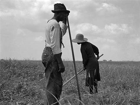 Cotton sharecroppers in Georgia in a photograph by Dorothea Lange, 1937 ...