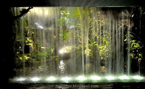 Entree Kibbles: Cloud Forest [夜间云雾林] at Night - Gardens by the Bay, Bay ...