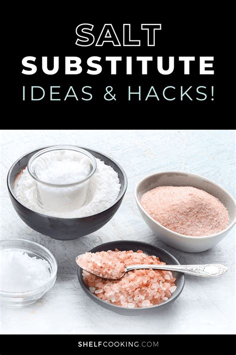 Salt Substitute Ideas You Need to Know Right Now! - Shelf Cooking