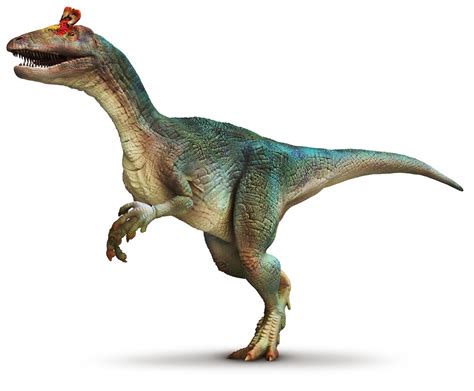 Cryolophosaurus ellioti from the early Jurassic of Antarctica | Dinosaur facts, Dinosaur ...