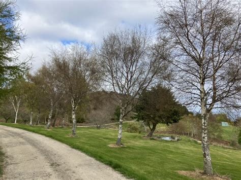 Driveway in Taindore © Dave Thompson :: Geograph Britain and Ireland