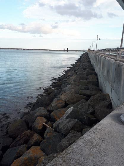 Groynes and breakwaters - Terre Armee's engineered solutions