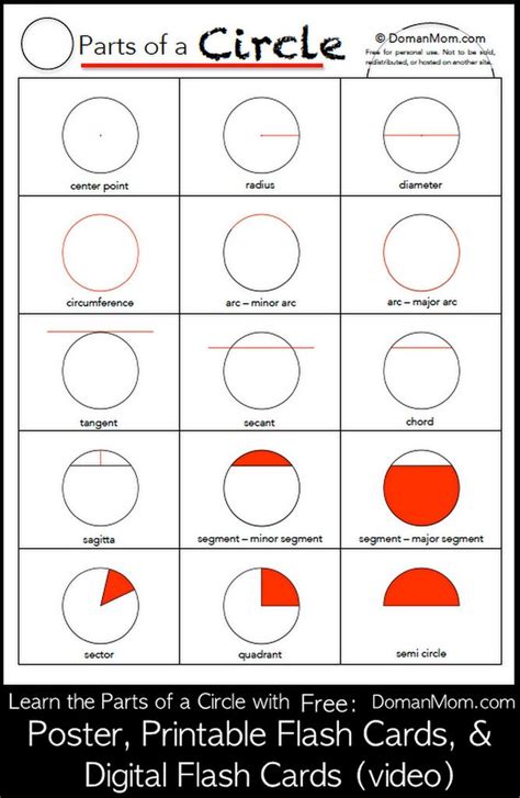 Parts of a Circle - CaraqoReynolds