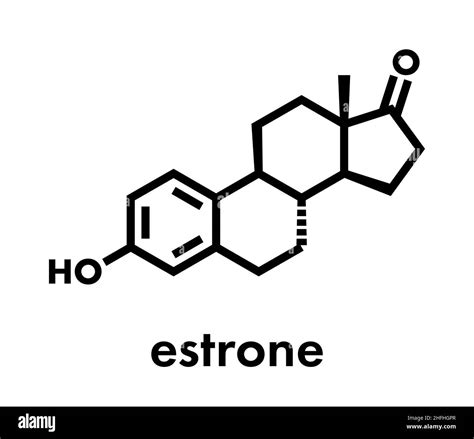 Estrone (oestrone) human estrogen hormone molecule. Skeletal formula ...