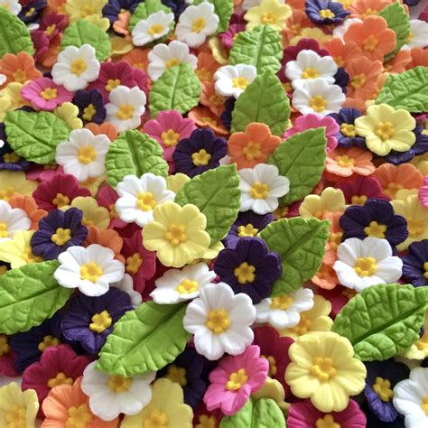 Edible Primroses Small Sugar Flowers For Cakes