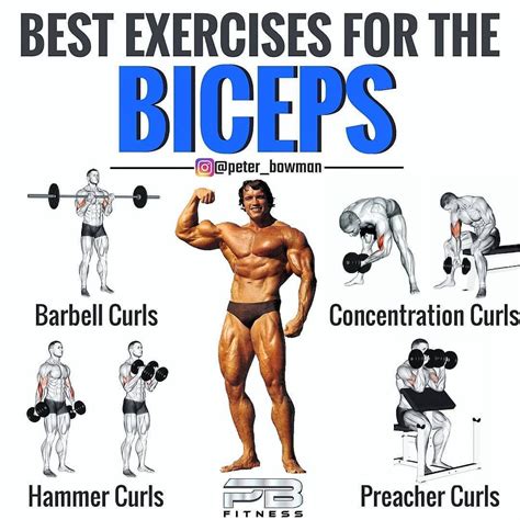 Bicep and tricep workout image by Brandon on Exercises | Biceps workout ...