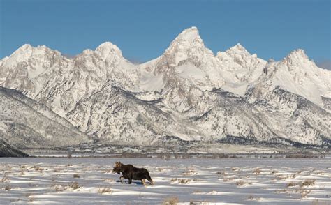 Grand Teton in Winter: 30 Things to Know Before You Go - Eternal Arrival