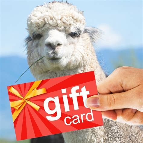 Alpaca Gifts | Alpacas of Montana