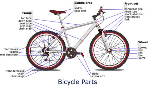 English Vocabulary: Different Parts of a Bicycle - ESLBUZZ