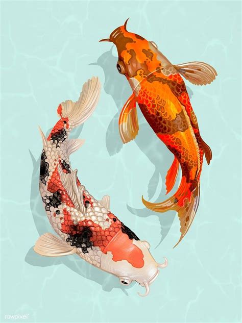 Two Japanese Koi fish swimming | premium image by rawpixel.com in 2020 ...