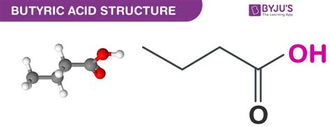 Butyric Acid Structure