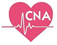 Entry Level CNA Cover Letter No Experience: 3 Samples - CLR