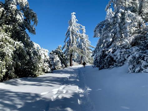 Hiking to Mount Saint Helena Page 1 of 0