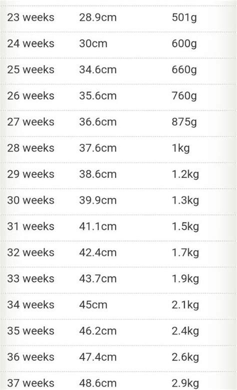 33 weeks pregnant baby weight in kg chart information | hostalelportalico