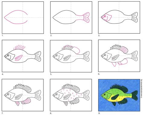 How To Draw A Fish Step By Step Easy For Kids : In this simple step by step guide learn how to ...